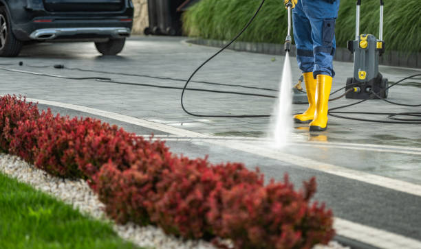 Best Soft Washing  in Bridgeport, MI